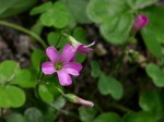 [050520_9.jpg]