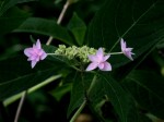 [050527_7.jpg]