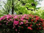 [050603_21.jpg]