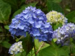 [050603_9.jpg]