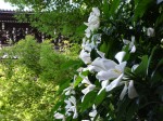 [050610_5.jpg]