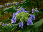 [050617_13.jpg]