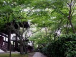 [050617_17.jpg]