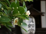 [050617_3.jpg]