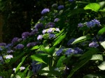 [050617_4.jpg]