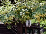 [050617_5.jpg]