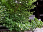[050617_9.jpg]