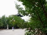 [050624_19.jpg]