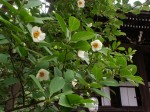 [050624_20.jpg]