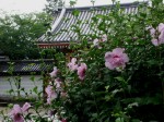 [050701_11.jpg]