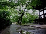 [050701_4.jpg]