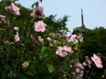 [050708_18.jpg]