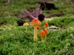 [050708_3.jpg]