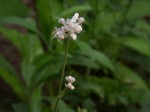 [050729_10.jpg]