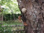 [050729_18.jpg]