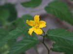 [050805_20.jpg]