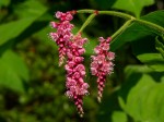 [050826_15.jpg]