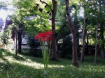 [050916_4.jpg]