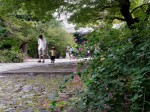 [050922_5.jpg]