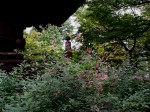 [050922_9.jpg]