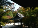 [051028_13.jpg]