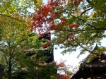 [051104_10.jpg]