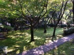 [051104_19.jpg]