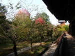 [051104_5.jpg]