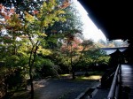 [051104_6.jpg]