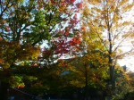 [051111_7.jpg]
