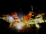 [051125_10.jpg]