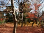 [051209_33.jpg]