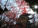 [051216_21.jpg]