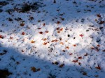 [051223_30.jpg]