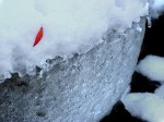 [051223_38.jpg]