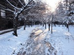 [051223_47.jpg]