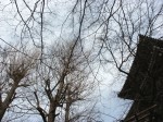 [060106_12.jpg]