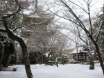[060106_17.jpg]