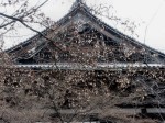 [060113_10.jpg]