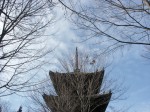 [060120_19.jpg]