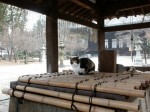 [060127_1.jpg]