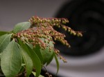 [060127_11.jpg]