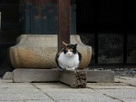 [060127_13.jpg]