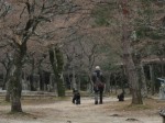 [060127_18.jpg]