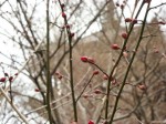 [060127_19.jpg]
