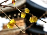 [060210_29.jpg]