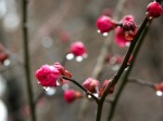 [060217_3.jpg]