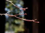[060224_17.jpg]