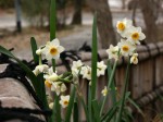 [060224_4.jpg]