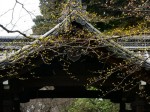 [060310_14.jpg]